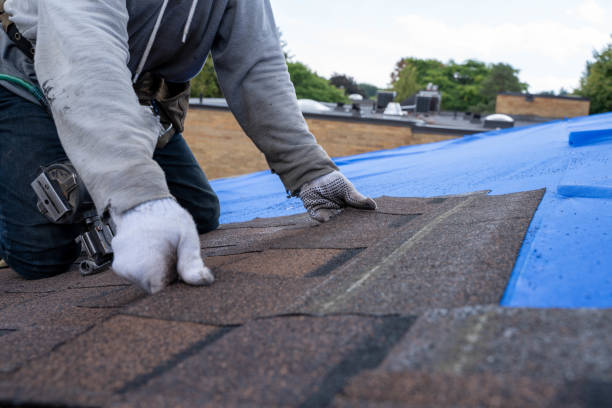 Gutter Installation and Roofing in Miami Lakes, FL